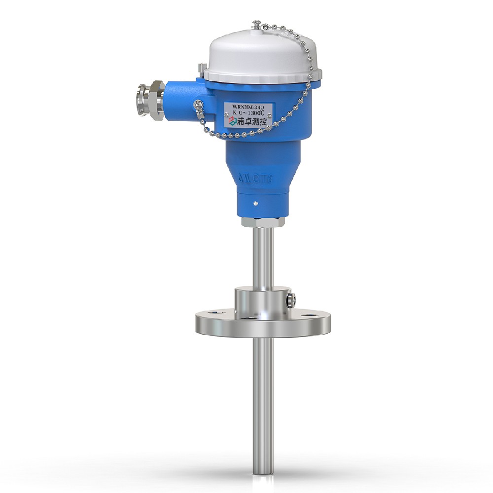 防爆耐磨熱電偶溫度變送器